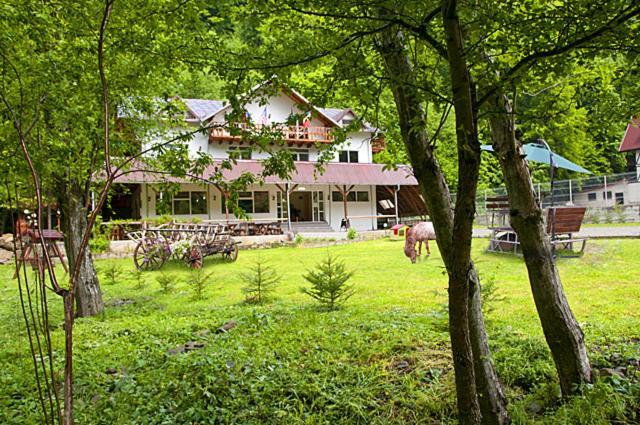 Pensiunea Valea Negrasului Trăisteni Exterior foto